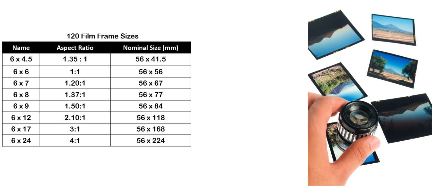 Medium & Large Format Negatives Photo Scanning Service