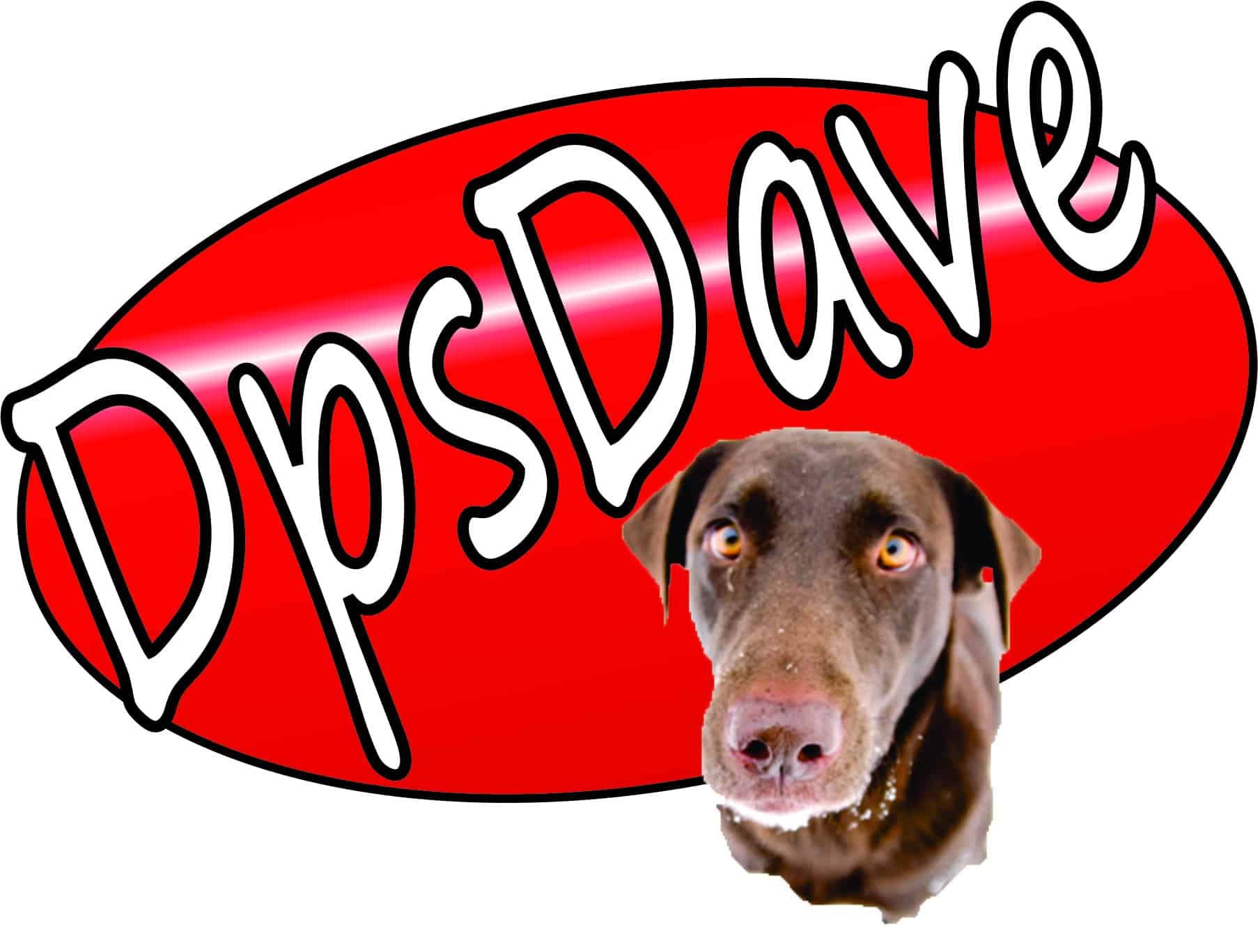 Sale > best slide to digital service > in stock